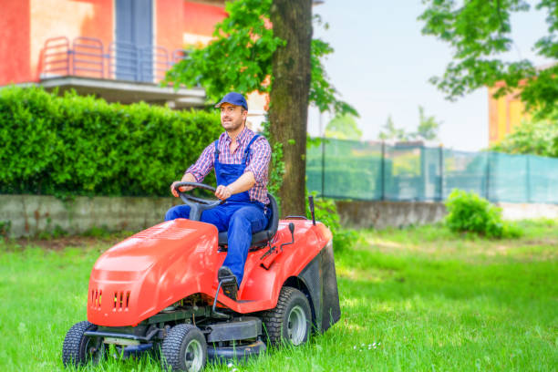 istock Professional lawn mower worker cutting grass in home garden 1396265097