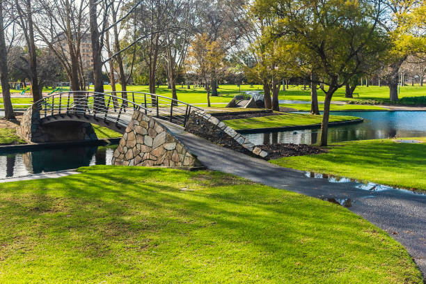 istock Rymill Park pond in Adelaide city 1396270234