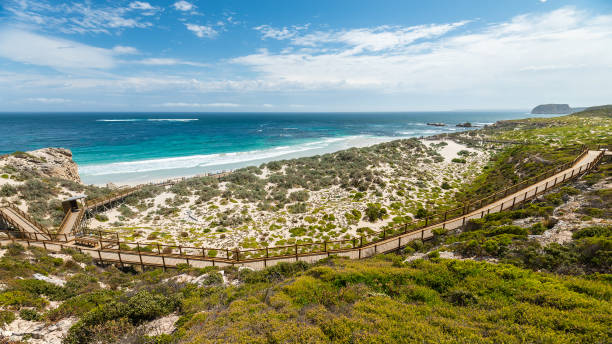 istock Seal Bay boardwalk on Kangaroo Island 1396270265