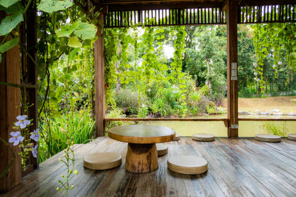Japanese old garden