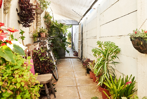 Different potted plants along narrow walkway at entrance to home with a bicycle and chair