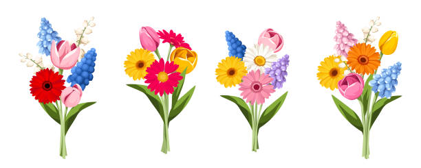 ilustrações, clipart, desenhos animados e ícones de buquês de flores coloridas da primavera. conjunto de ilustrações vetoriais - gerbera daisy stem flower head pink