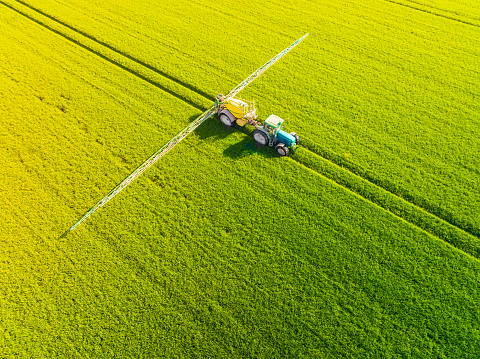 Tractor with an agriculutural crops sprayer spraing herbicides, pesticides or fertilizers on a green field during springtime in Flevoland, Netherlands.