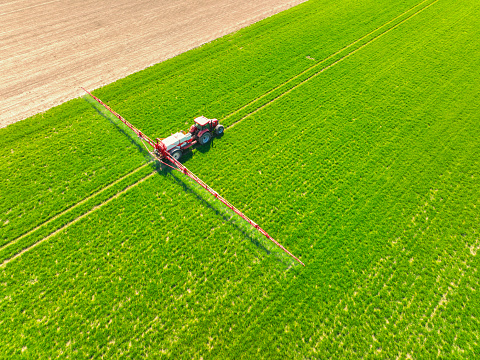 Tractor with an agriculutural crops sprayer spraing herbicides, pesticides or fertilizers on a green field during springtime in Flevoland, Netherlands.