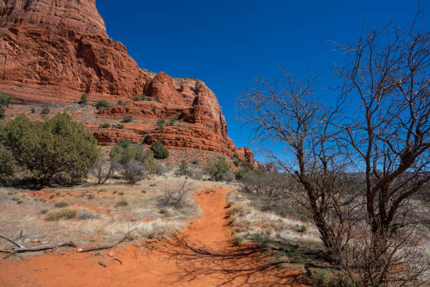 istock Beautiful hiking trail in Sedona. 1396282057