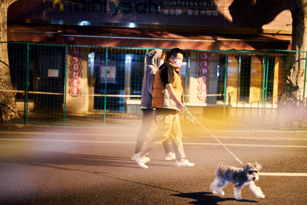 a Asian girl touching and playing with a dog.