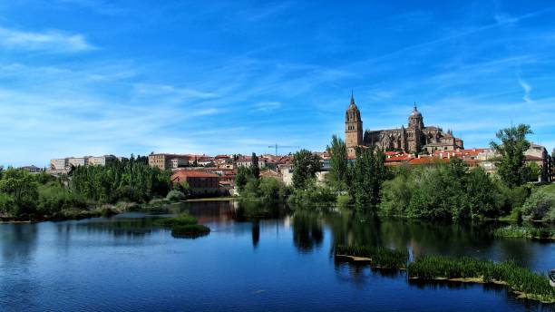 istock Salamanca panoramic view from the distance 1396282451