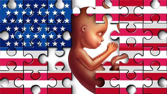 American Abortion Issues United States reproductive laws and US abortions legislation as a legal concept for reproduction in the USA with 3D illustration elements.