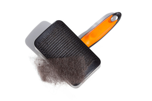 Cleaning Sleeker for Hairy Dog with black dog hair isolated on white background. Small Slicker Brushes for Dog