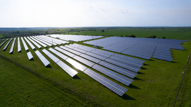 istock Rows of solar panels at sunset 1396285424