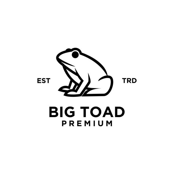 big frog vector design isolated white background big frog vector design isolated white background giant frog stock illustrations