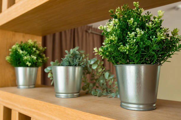 istock small iron pots with green flowers 1396288150