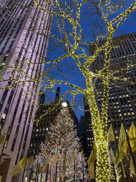 istock New York Christmas tree in December 1396291922