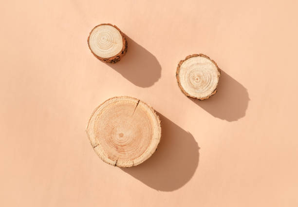 istock Three woodcut disks lying on a trendy beige background 1396293300
