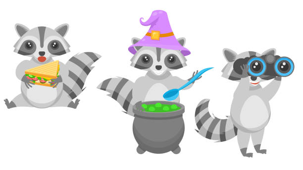 istock Set Abstract Collection Flat Cartoon Different Animal Raccons Eating A Sandwich, Brewing A Potion In A Vat, Through Binoculars Vector Design Style Elements Fauna Wildlife 1396293417