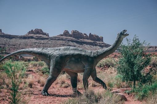 Dinosaur in the Desert