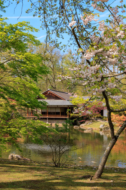 istock Japanese garden landscapes 1396296347