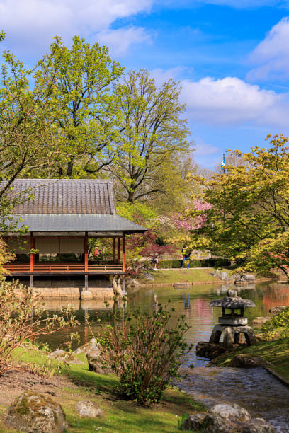 istock Japanese garden landscapes 1396296385