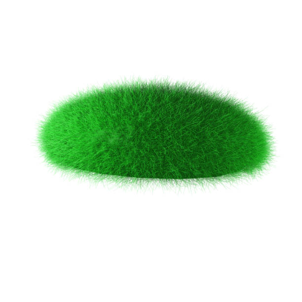 istock A tussock, an island with green grass. 3d illustration 1396298255