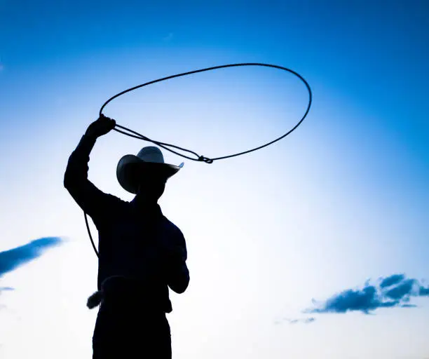 A silhouette of a man swinging a lasso rope, seen against a blue summer sky.