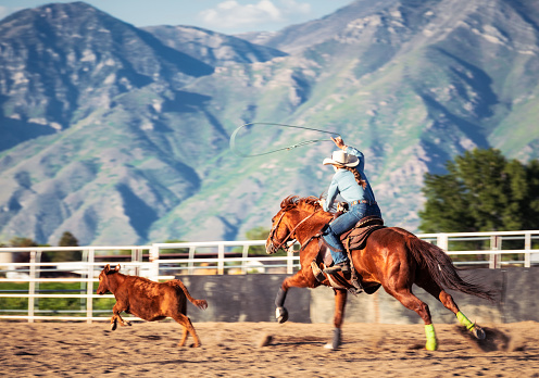 A cowgirl galloping on a horse, chasing to catch a calf during a rodeo competition.