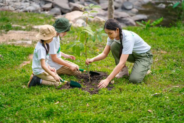 kinder schließen sich als freiwillige für wiederaufforstungen und erdschutzaktivitäten an, um kindern ein gefühl von geduld und opferbereitschaft zu vermitteln, gute taten zu tun und die natur zu lieben. - wiederaufforstung stock-fotos und bilder