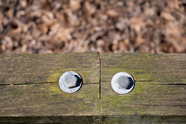 Detail of elevated wooden walkway in wetland area in a Southern State (Georgia) of the USA. Shallow depth of field.