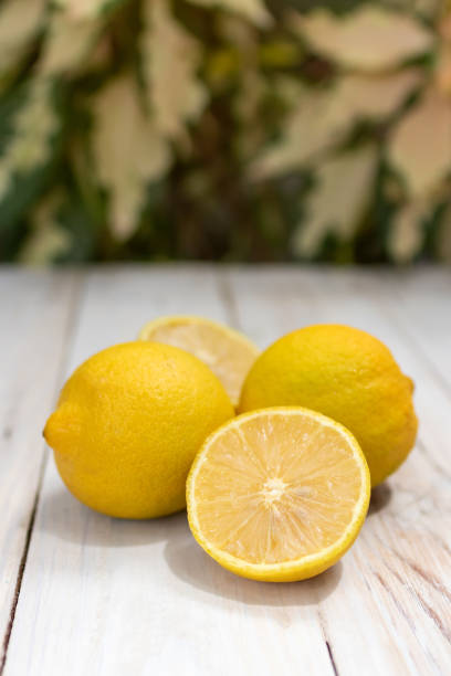 istock Lisbon lemon on wooden table background. 1396303121