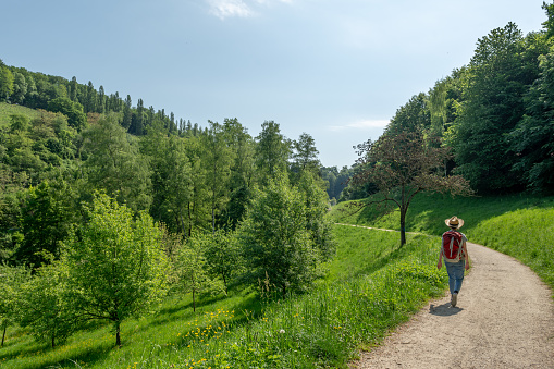 Woman with brown hair, straw hat,  gray t-shirt and jeans, hiking with red backpack on a trail to Fuerstenlager, rear view, Auerbach, Bensheim, Germany