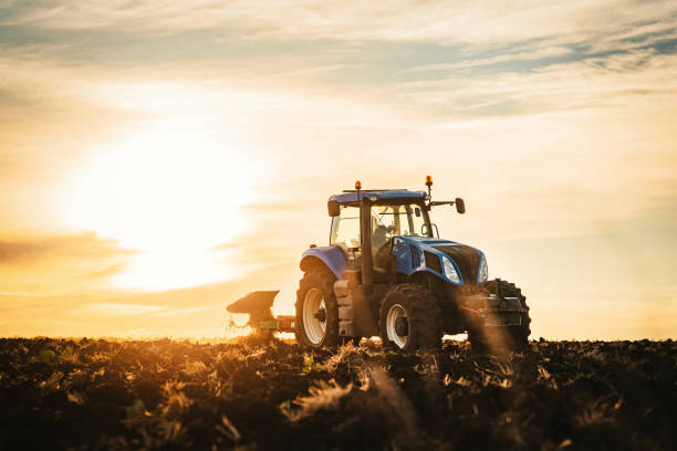 istock Farmer in tractor preparing land with seedbed cultivator 1396308528