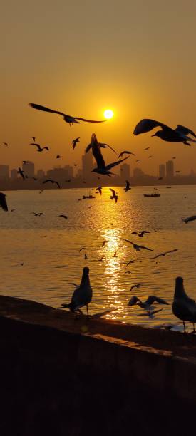 istock Golden hues of sunrise 1396308580