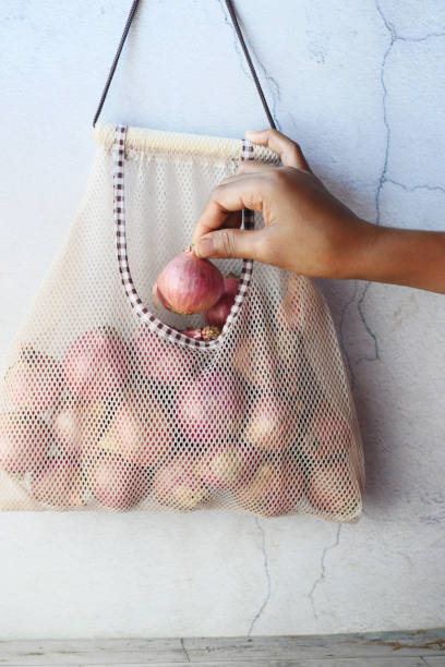 season-fresh onion, new onion