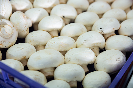 Box with whole fresh raw champignon mushrooms with white caps, closeup view. Organic and natural ingredients concept