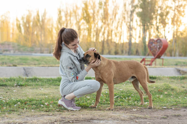 istock Woman in the park with stray dog 1396319745