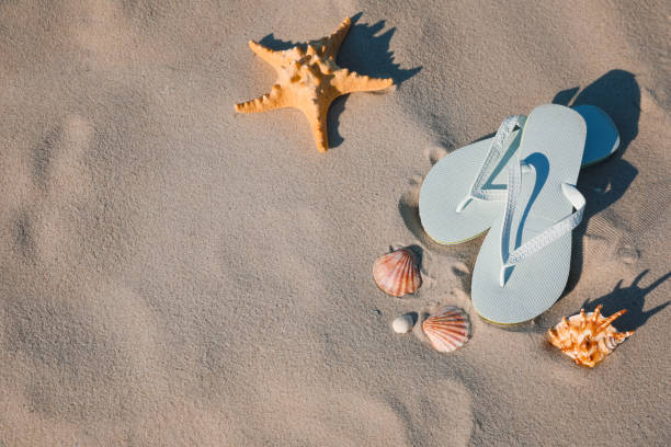 istock Stylish flip flops, starfish and sea shells on beach, flat lay. Space for text 1396322331
