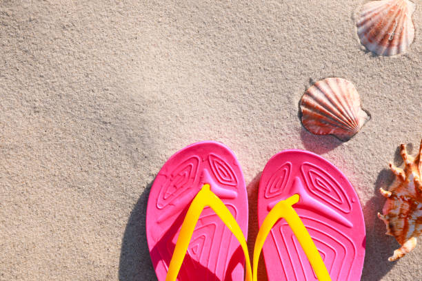 Old flip flop sandals with stones and sea shells lying on a coastal beach