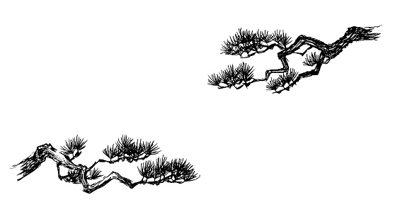 Pen drawing illustration of pine set