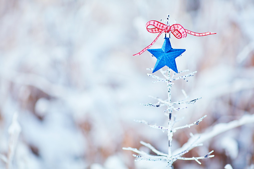 Tree with a blue star and red ribbon with a background of snow