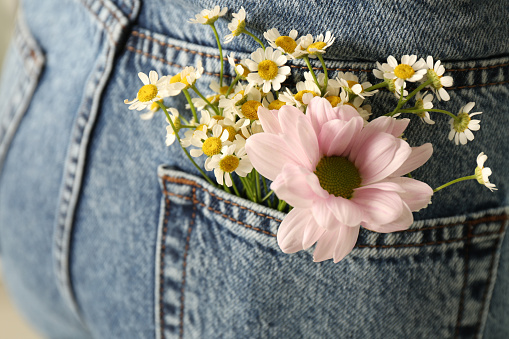 Woman with beautiful tender flowers in jeans pocket, closeup