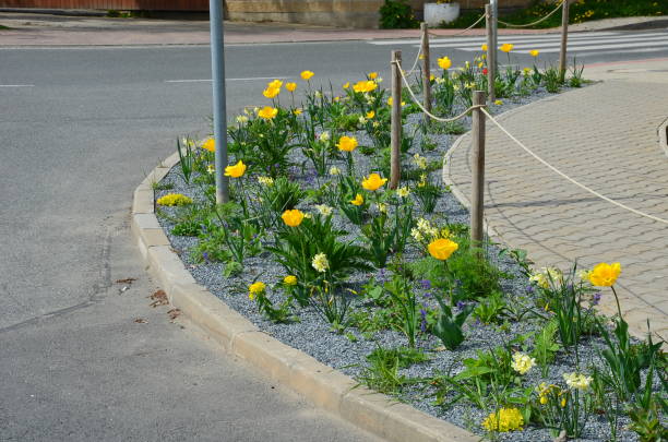 dekorative blumenbeete auf einem regelmäßigen grundriss in der mitte eines quadrats aus granitpflaster. bogenförmige blumenbeete mit trockenen ziergräsern an der kreuzung - bicycle ornamental garden flower formal garden stock-fotos und bilder