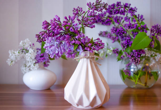 istock Beautiful lilac flower at home 1396330695