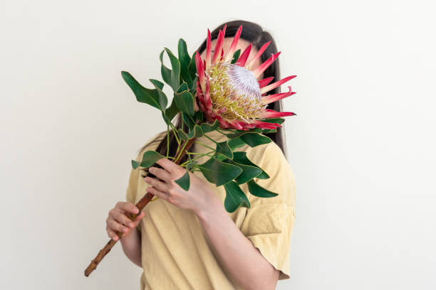 istock A young woman with protea flower on a white background. 1396331742
