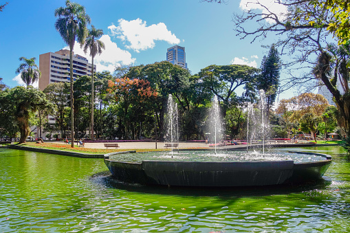 Curitiba, Paraná: Parque de la ciudad Passeio Publico en un día soleado photo