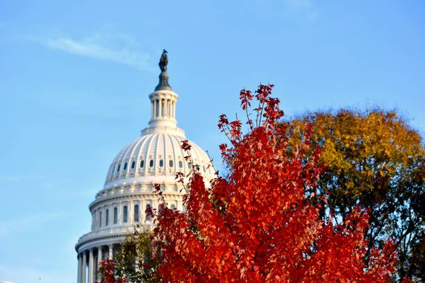istock Fall at the United States Capitol Building 1396334668