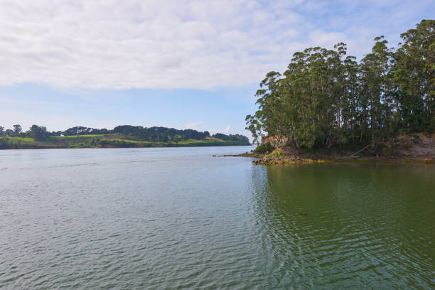 istock A river with vegetation along its banks under a cloudy sky 1396335852