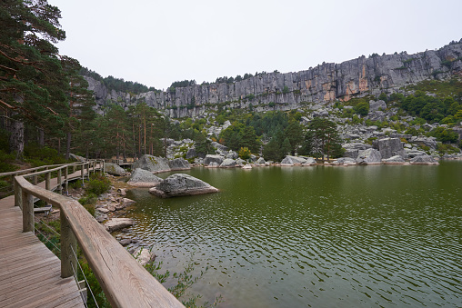 A beautiful wooden walkway over a lake and surrounded by a lush pine forest in autumn.