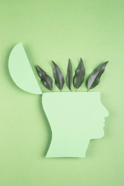 istock Human head in paper cut style and green leaves 1396337496