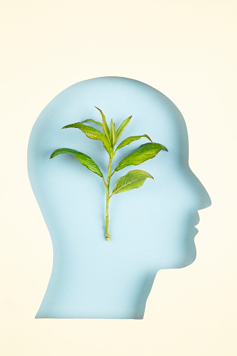 Human head in paper cut style and green leaves