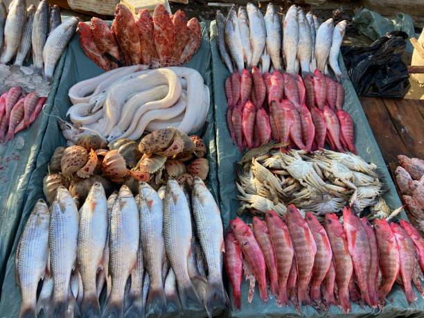 istock Fish display in Fish open market in  Alexandria in Egypt 1396339035