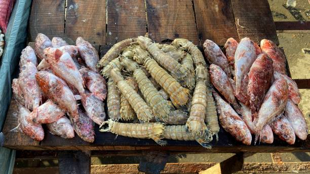 istock Fish display in Fish open market in  Alexandria in Egypt 1396339050